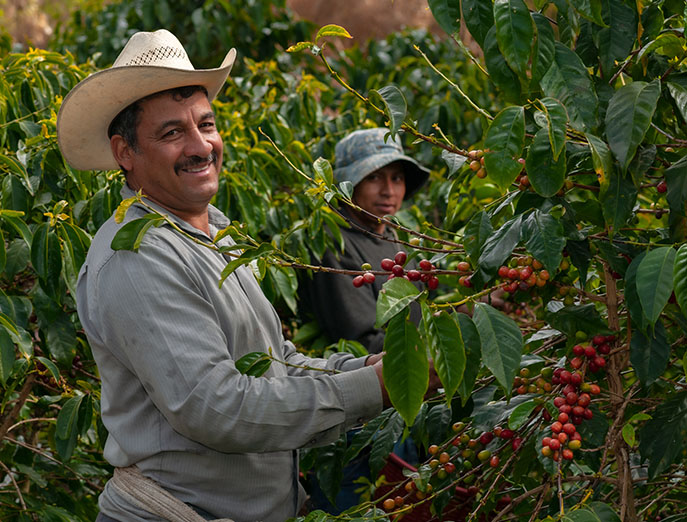 La Mexicana